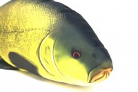 GABY fish pillows - Kissen - Schleie - 50 cm