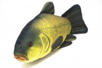 GABY fish pillows - Kissen - Schleie - 50 cm