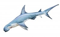Gabyfishpillows - Kuscheltier - Hammerhai - 120 cm
