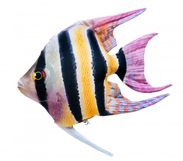 Gabyfishpillows - Kuscheltier - Kaiserfisch - 50 cm