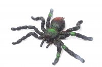 Stretch - Spinne - verschiedene Farben