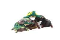 Stretch Schildkröte verschiedene Farben