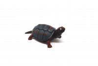 Stretch Schildkröte verschiedene Farben