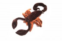 Nature Planet - Kuscheltier - Funkyland - Skorpion