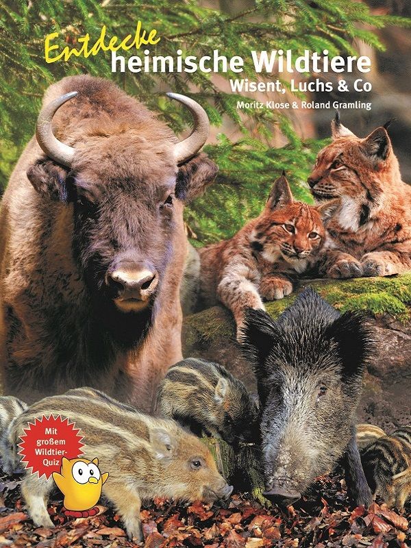 Kinderbuch - Entdecke heimische Wildtiere, 16,80 €