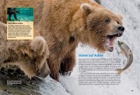 Kinderbuch - Entdecke die Bären (52)