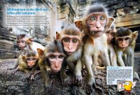 Kinderbuch - Entdecke Affen und Lemuren (59)