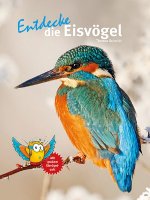 Kinderbuch - Entdecke die Eisvögel (35)