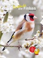 Kinderbuch - Entdecke die Finken (33)