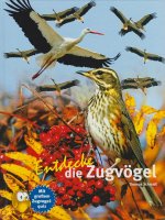 Kinderbuch - Entdecke die Zugvögel (8)