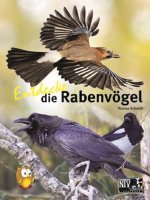 Kinderbuch - Entdecke die Rabenvögel (10)