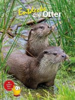 Kinderbuch - Entdecke die Otter (53)