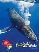 Kinderbuch - Entdecke die Wale (18)