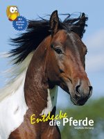 Kinderbuch - Entdecke die Pferde (13)