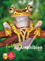 Kinderbuch - Entdecke die Amphibien (6)