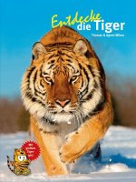 Kinderbuch - Entdecke die Tiger (34)
