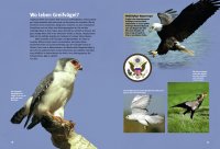 Kinderbuch - Entdecke die Greifvögel (4)