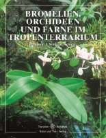 Bromelien, Orchideen, und Farne im Tropenterrarium