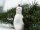 Nature Planet - Weihnachtskugel Pinguin