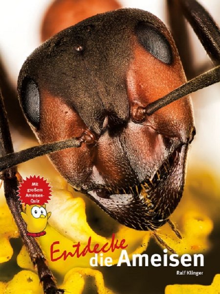 Kinderbuch - Entdecke die Ameisen (51)